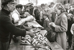 Fischmarkt VIII, 1955